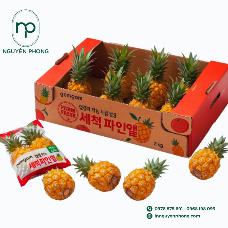 in-thung-carton-dung-dua-gia-re-tai-ha-noi